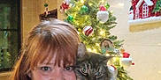 Sara is registered to the contest to win money with this photo: woman, cat, christmas_tree, holiday_decor, ornaments, star, indoor, smile, long_hair, tabby_cat, festive, lights, decoration, red_hair, face, holding, cozy, wall, cheerful, portrait
