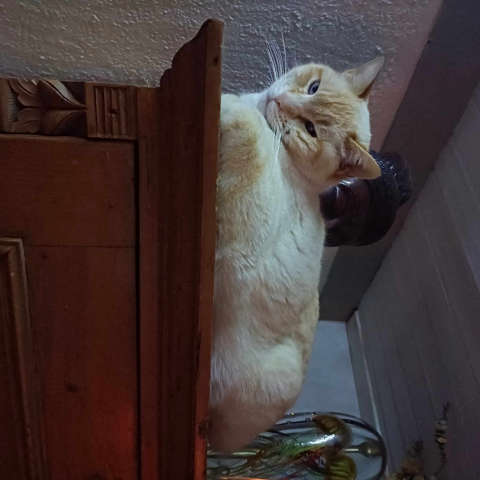 Oscar