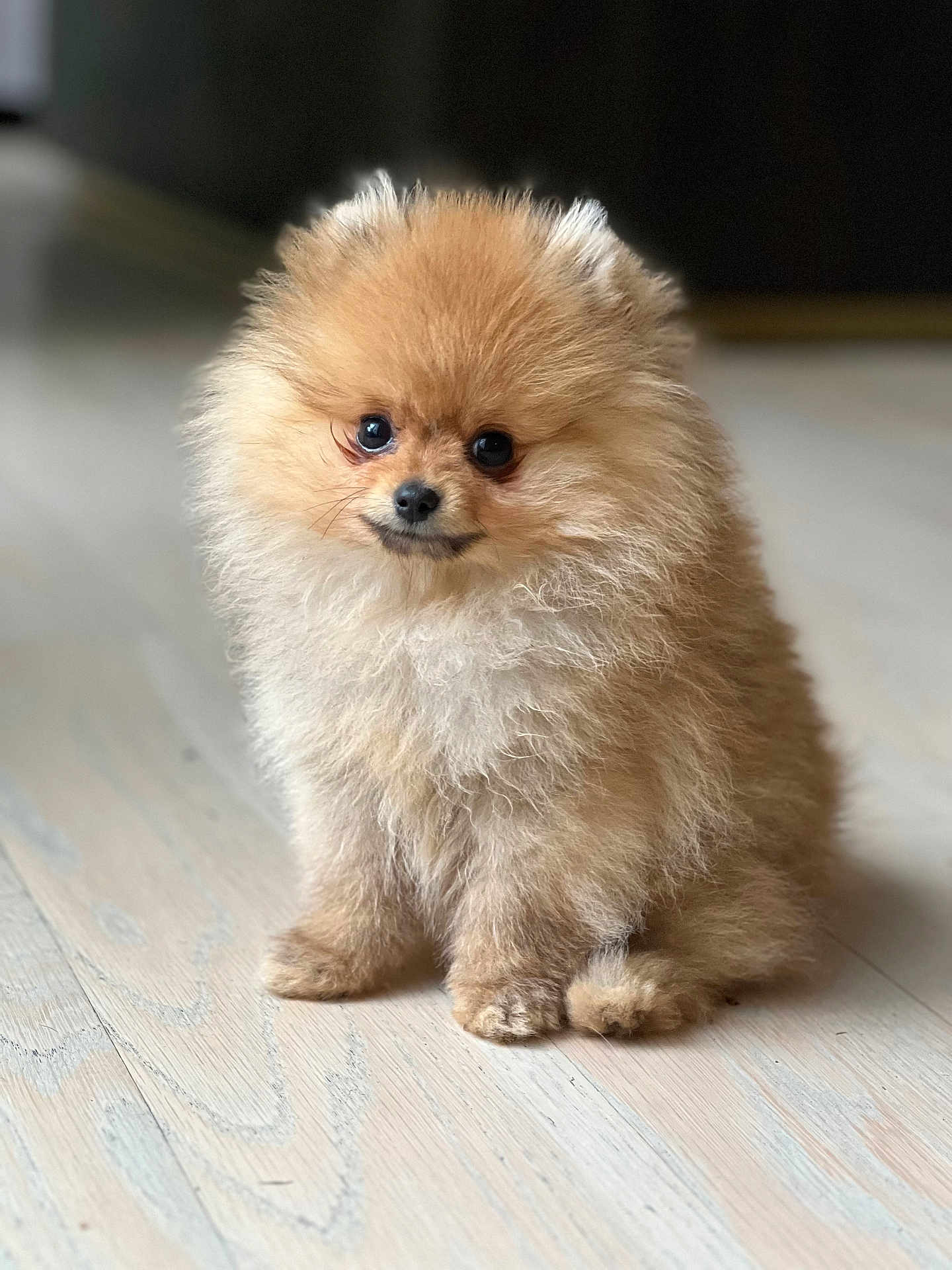 Tucker
