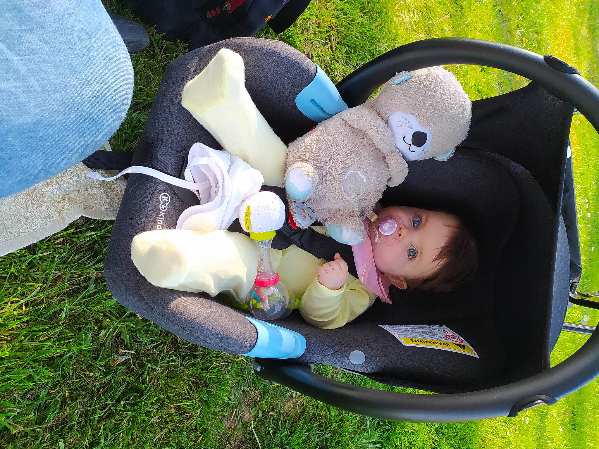Emy participe au concours pour gagner de l'argent avec cette photo : auto_part, baby, baby_carriage, baby_products, baby_toddler_clothing, car_seat, child, comfort, fun, grass, happy, lap, leisure, person, plush, recreation, stuffed_toy, toddler, toy, tree