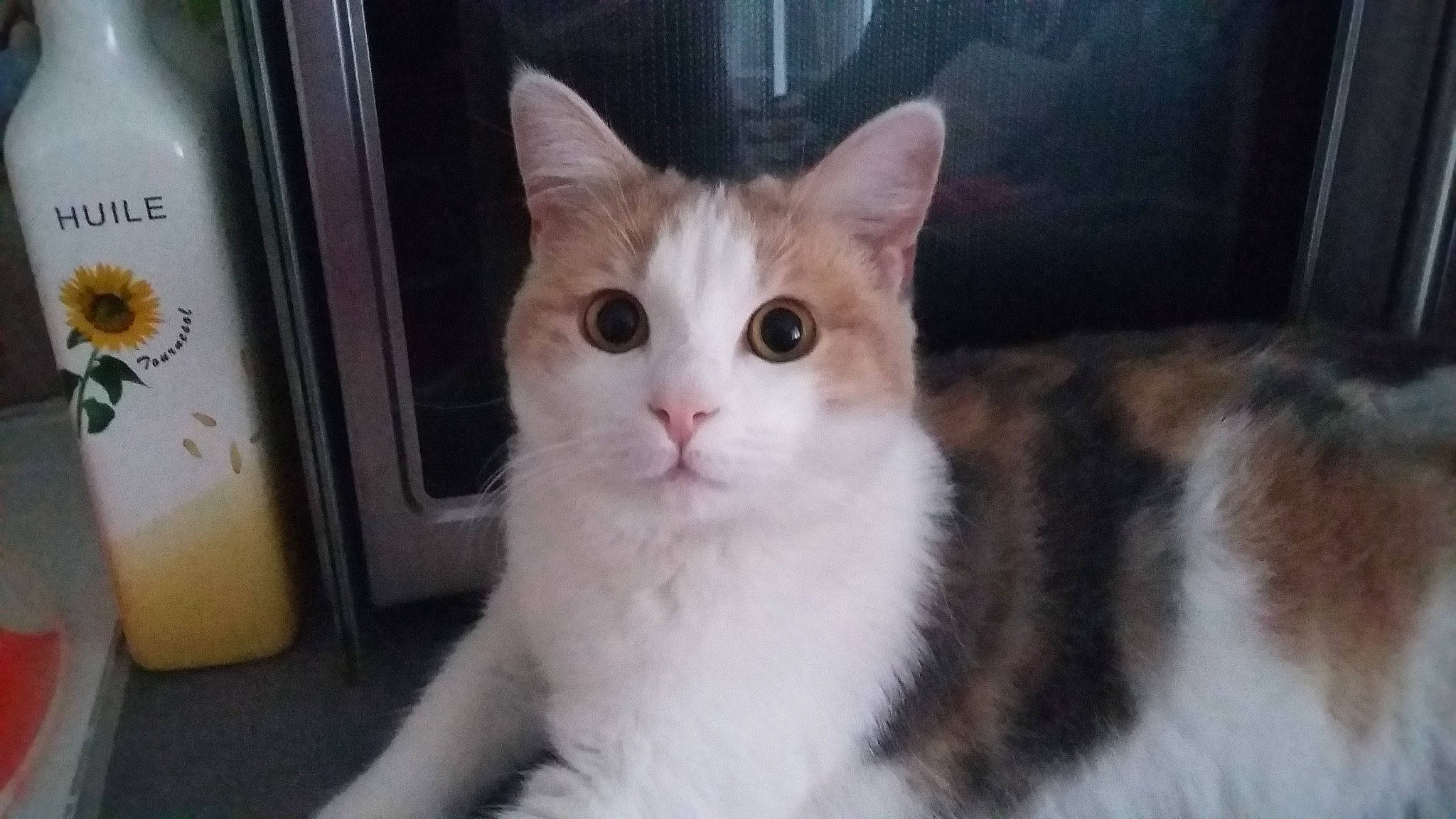 Mimine