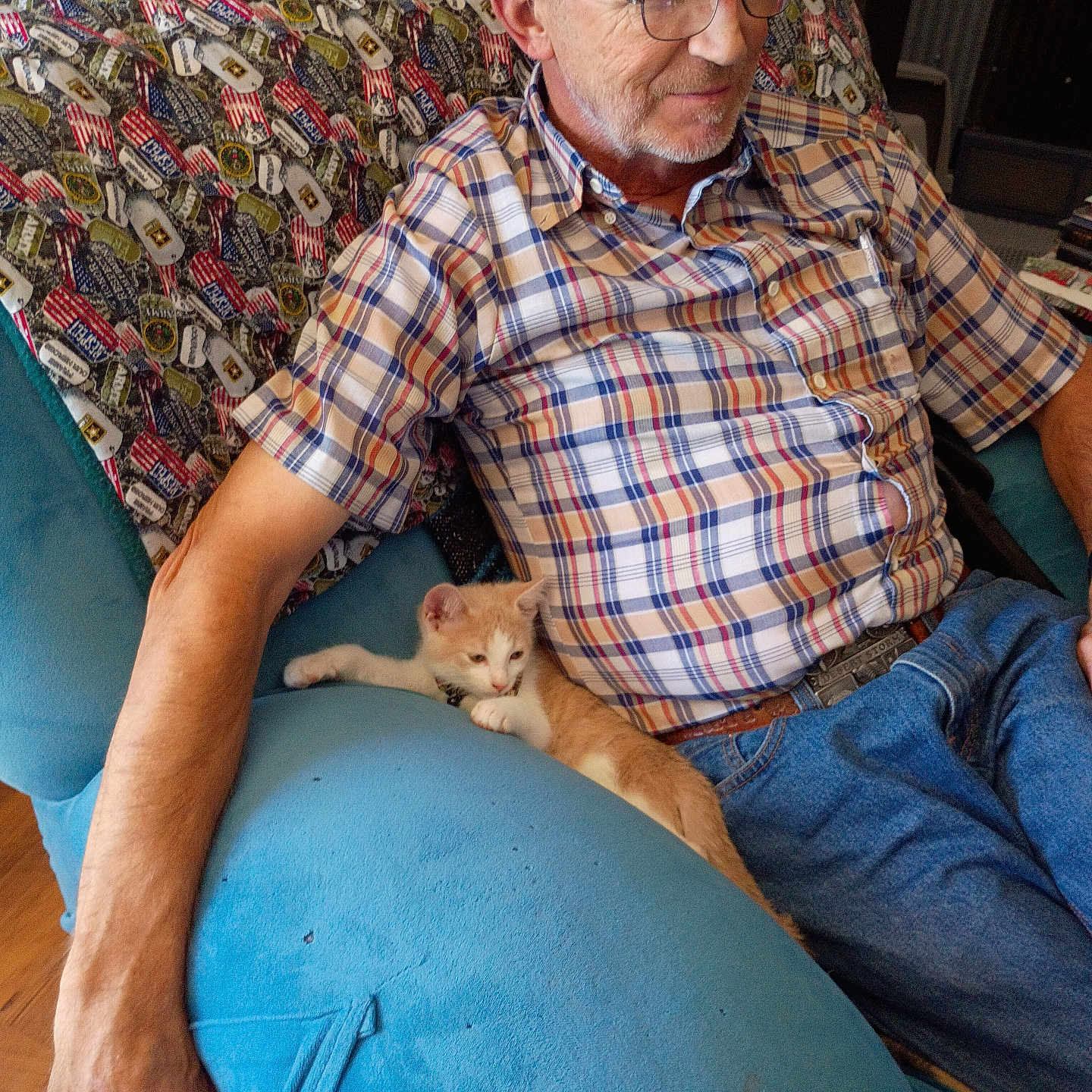 Alferdo joined the competition — help win amazing prizes! armchair, bald, beard, blue_jeans, cat, chair, cozy, furniture, glasses, indoors, kitten, man, orange_cat, person, pet, plaid_shirt, portrait, relaxed, sitting, white_cat