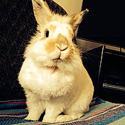 Nesquik a rejoint le concours — aidez-le/la à gagner de superbes lots !