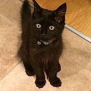 Rumple is registered to the contest to win money with this photo: