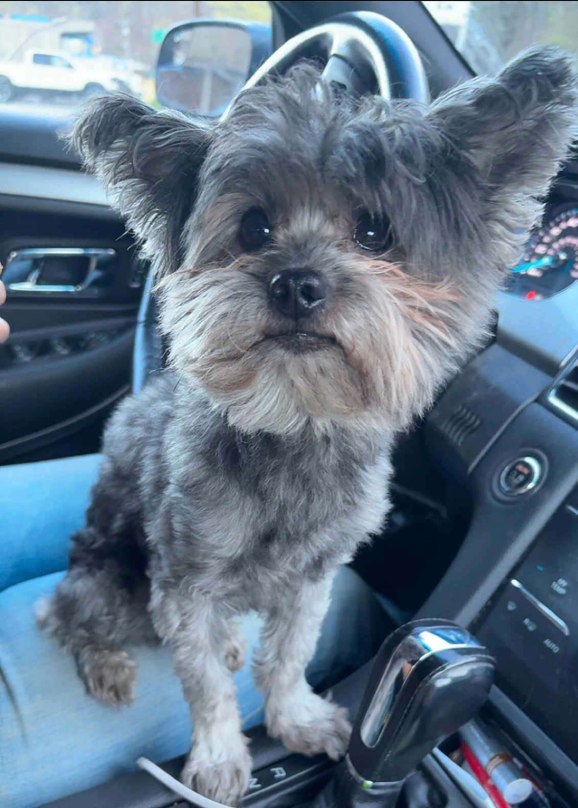 Finn