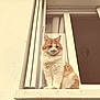 Loulou a rejoint le concours — aidez-le/la à gagner de superbes lots ! cat, orange_cat, white_cat, window, window_ledge, curtain, fluffy, domestic_animal, pet, feline, sitting, looking_away, indoor, home, close_up, animal_portrait, soft_light, vintage_tone, cozy, quiet