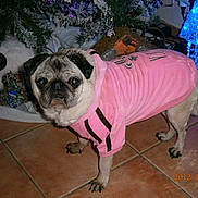 TARMINE participe au concours pour gagner de l'argent avec cette photo :