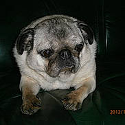 Deporter Tarmine a rejoint le concours — aidez-le/la à gagner de superbes lots !