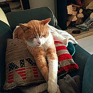 Oggy participe au concours pour gagner de l'argent avec cette photo : animal, blanket, cat, comfortable, couch, cozy, fireplace, firewood, furniture, home, indoor, living_room, orange_cat, pet, pillow, relaxed, resting, sleeping, stretching, white_cat