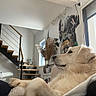 dog, golden_retriever, indoor, blanket, staircase, window, mural, art, decor, fur, pet, relaxed, cozy, side_view, modern, house, living_room, animal, resting, calm