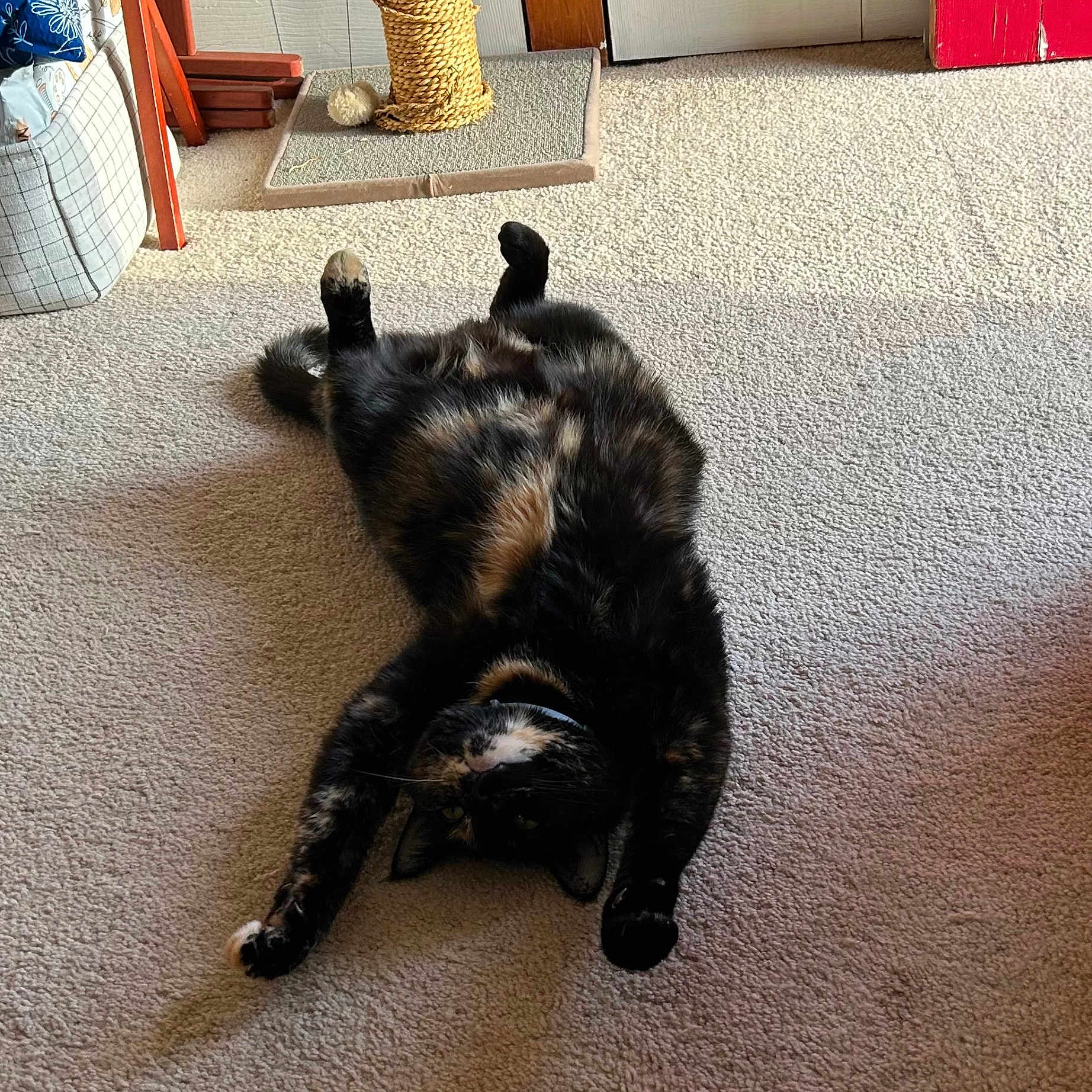 Chloe
