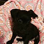Sofia is registered to the contest to win money with this photo: