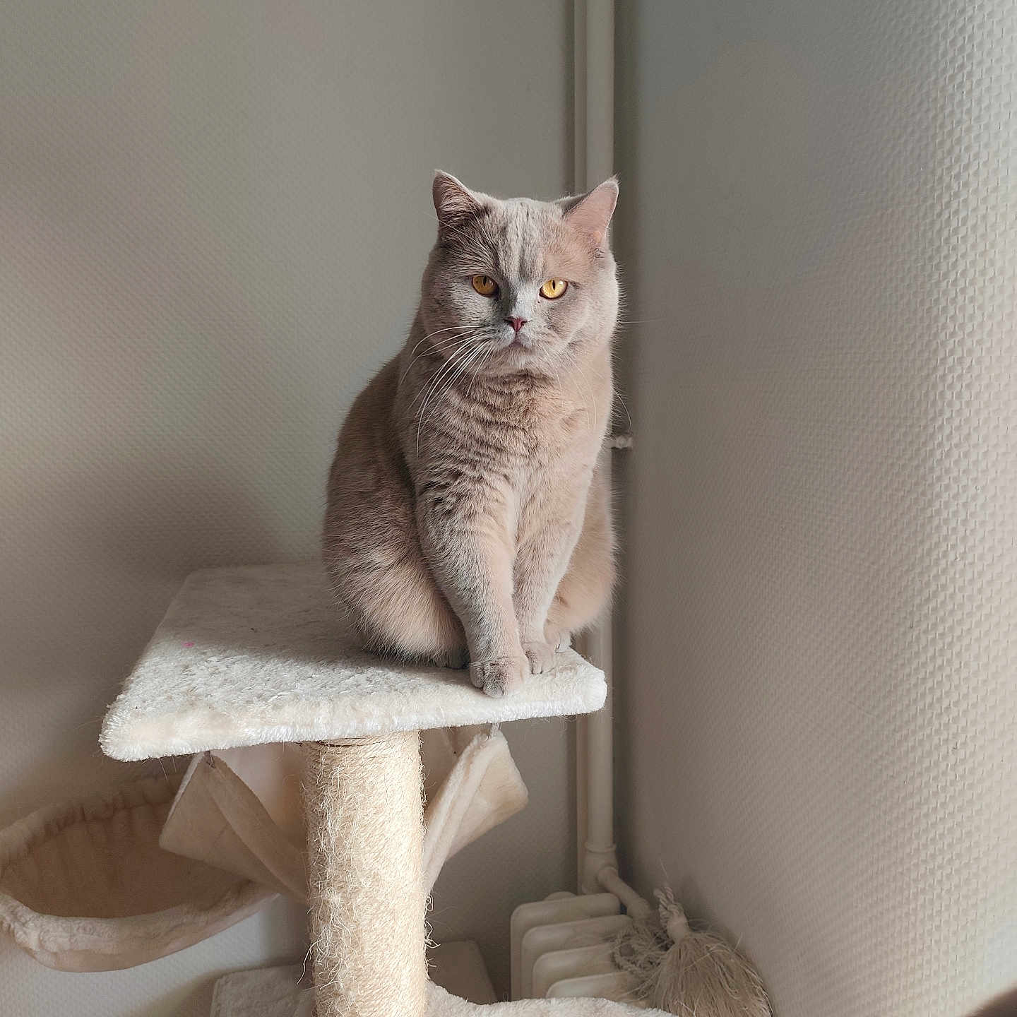 Winnie