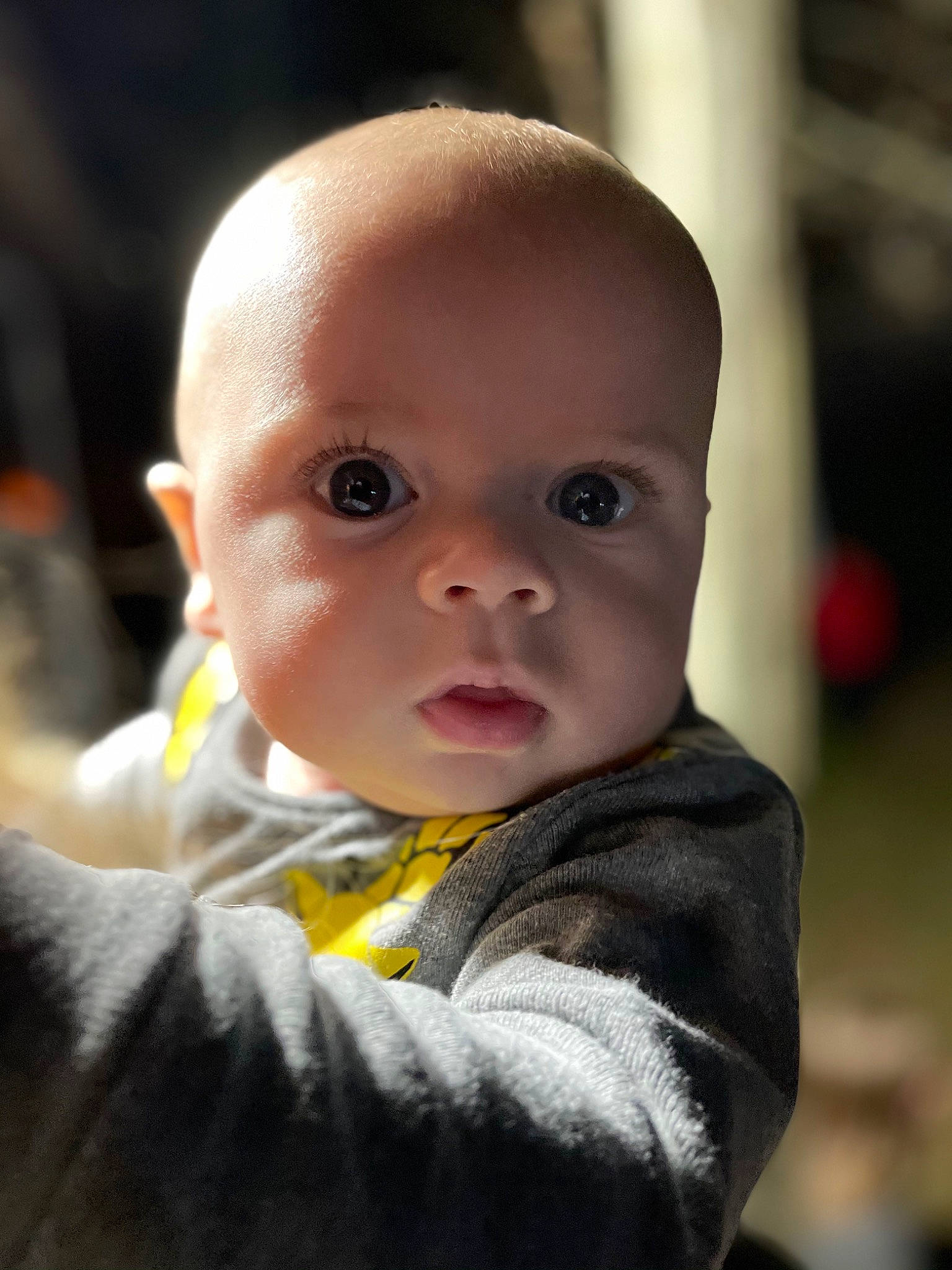 Houston joined the competition — help win amazing prizes! art, baby, baby_toddler_clothing, cheek, child, close_up, face, flash_photography, fun, gesture, grass, happy, iris, lip, nose, person, portrait_photography, sitting, skin, sleeve