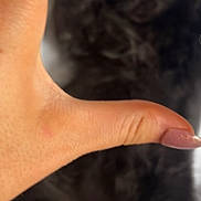 Remi joined the competition — help win amazing prizes! hand, fingernail, kitten, black_cat, paw, fur, blur, closeup, skin, nail_polish, lying_down, pet, animal, feline, indoor, soft_texture, cute, small, fingers, background