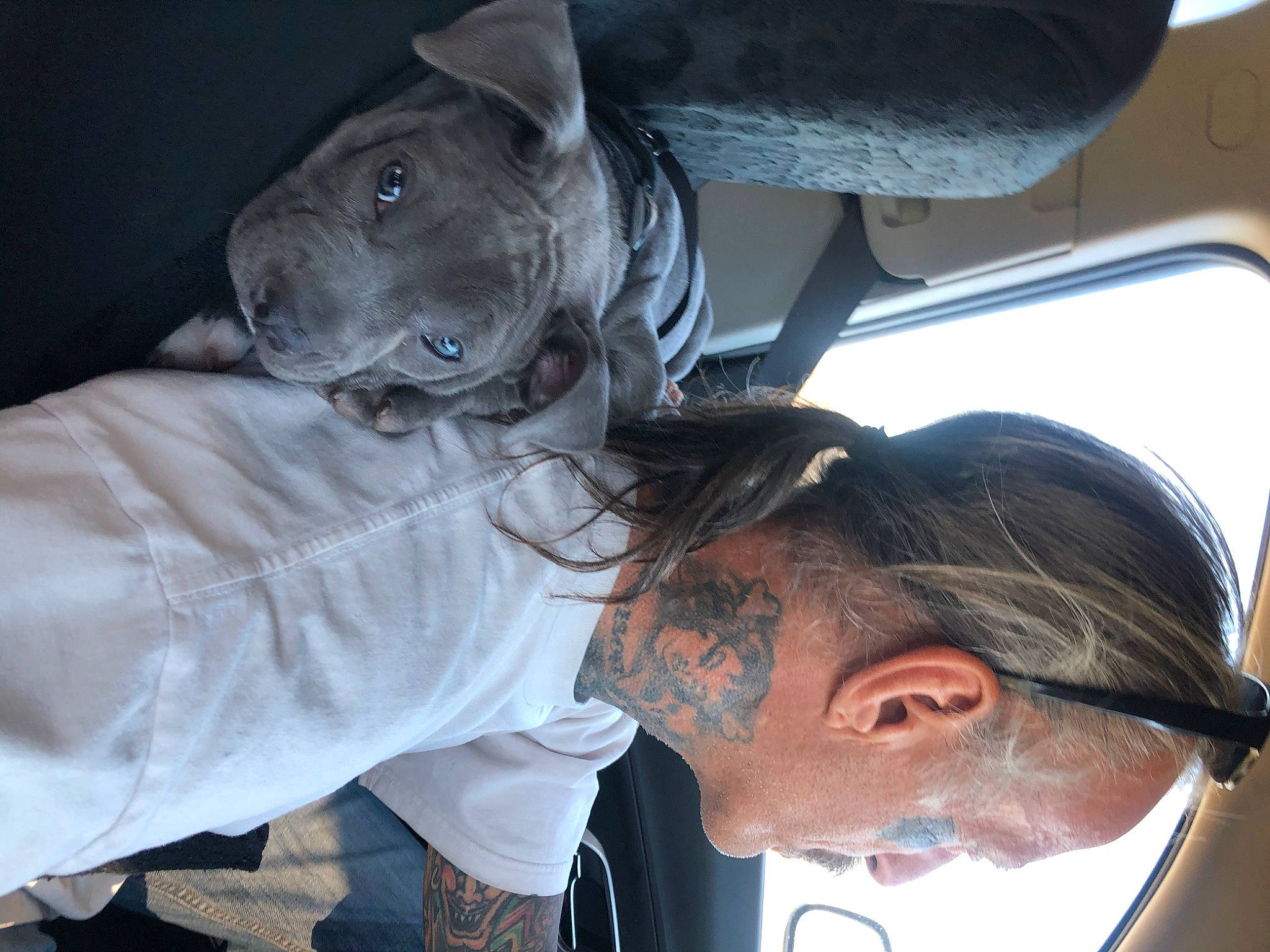 Loca joined the competition — help win amazing prizes! auto_part, automotive_exterior, automotive_window_part, beard, dog, dog_breed, ear, elbow, eyewear, gesture, guard_dog, hat, personal_protective_equipment, vehicle_door, window, windshield