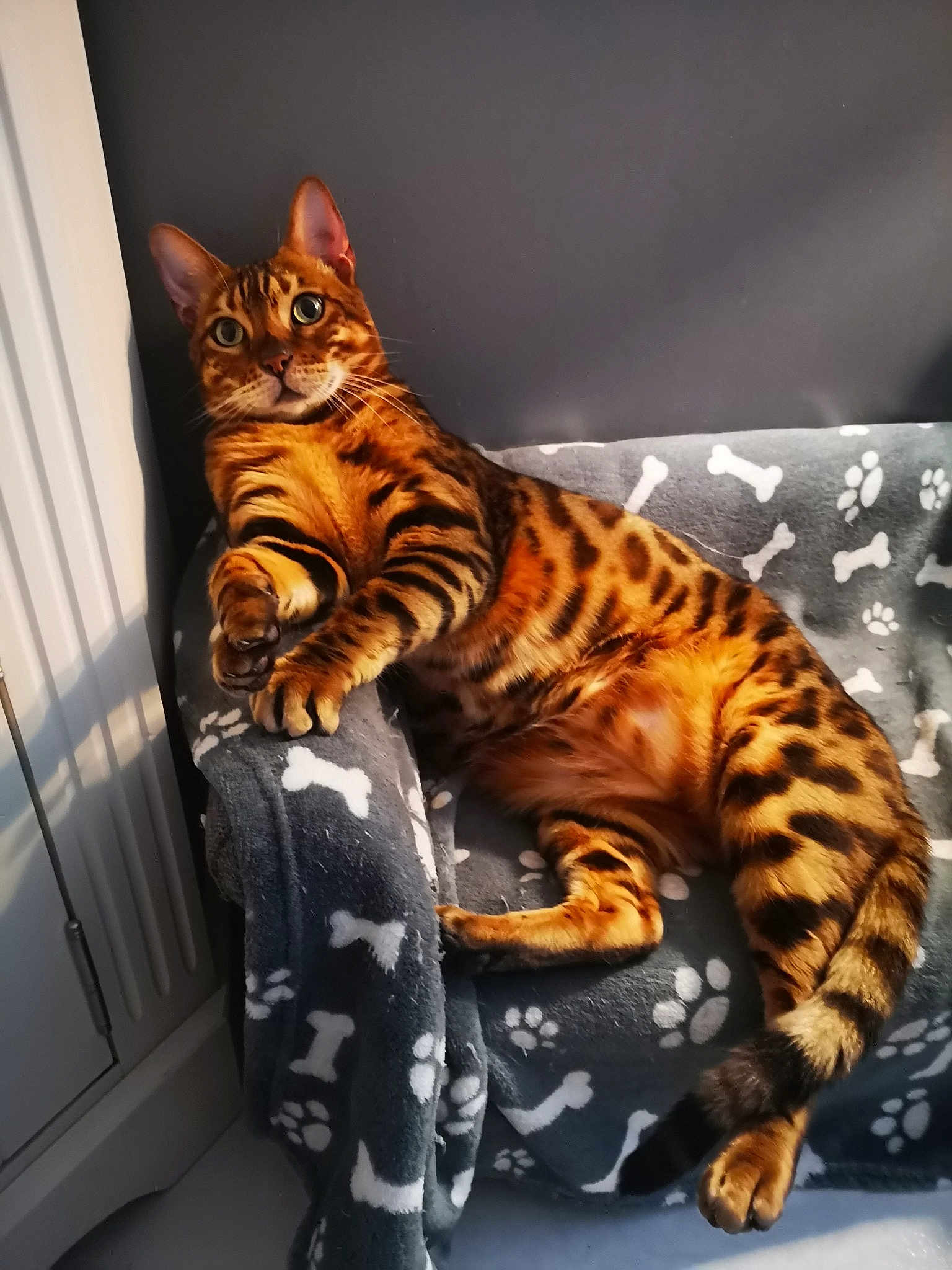 Prince