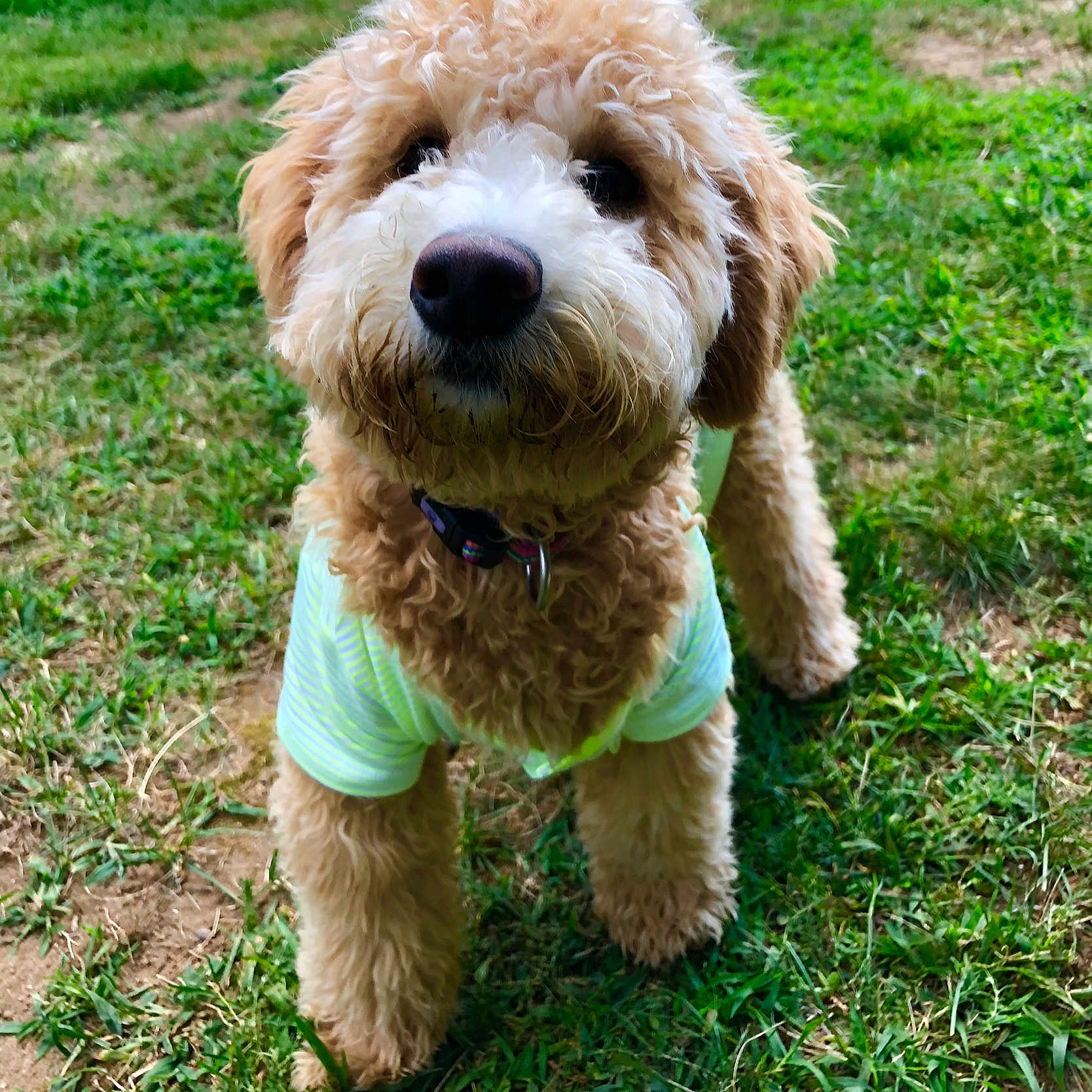Abby
