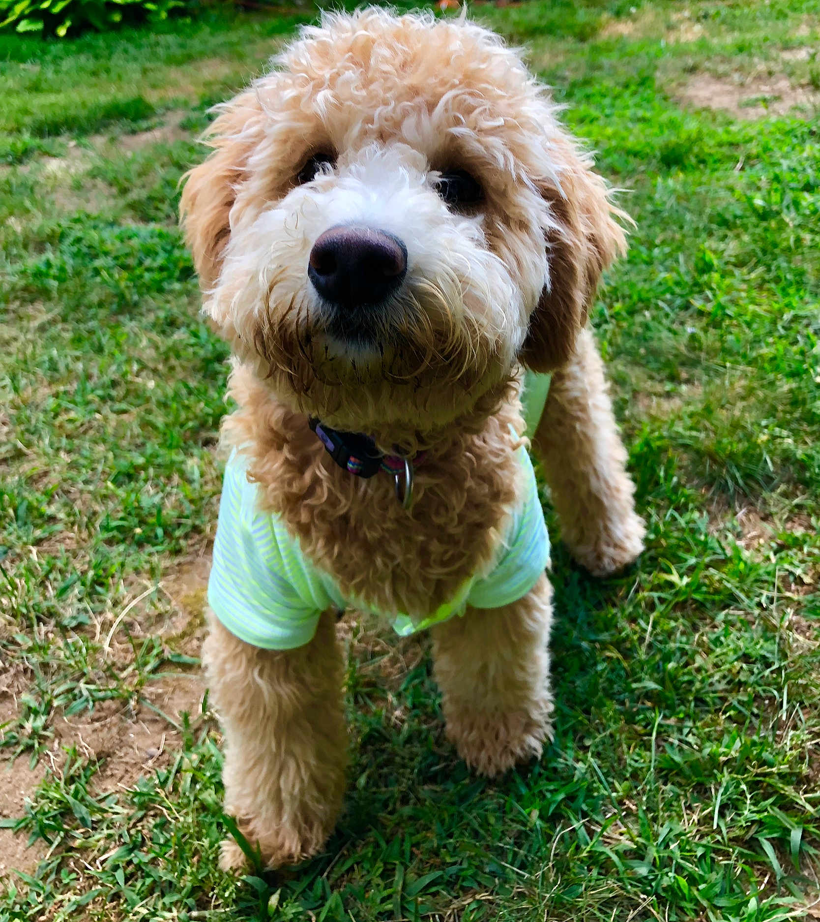 Abby