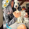 Alcapone a rejoint le concours — aidez-le/la à gagner de superbes lots ! affection, animal, black_and_white, chair, cozy, cute, dog, flower_crown, furniture, hand, home, indoor, kiss, leopard_print, long_hair, love, person, pet, stairs, tattoo