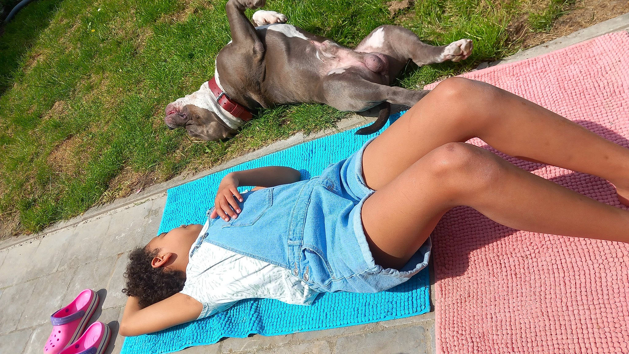 Sherkan a rejoint le concours — aidez-le/la à gagner de superbes lots ! barefoot, calf, comfort, companion_dog, dog, electric_blue, fawn, foot, fun, grass, human_leg, knee, leg, leisure, people_in_nature, recreation, shorts, sitting, sun_tanning, thigh
