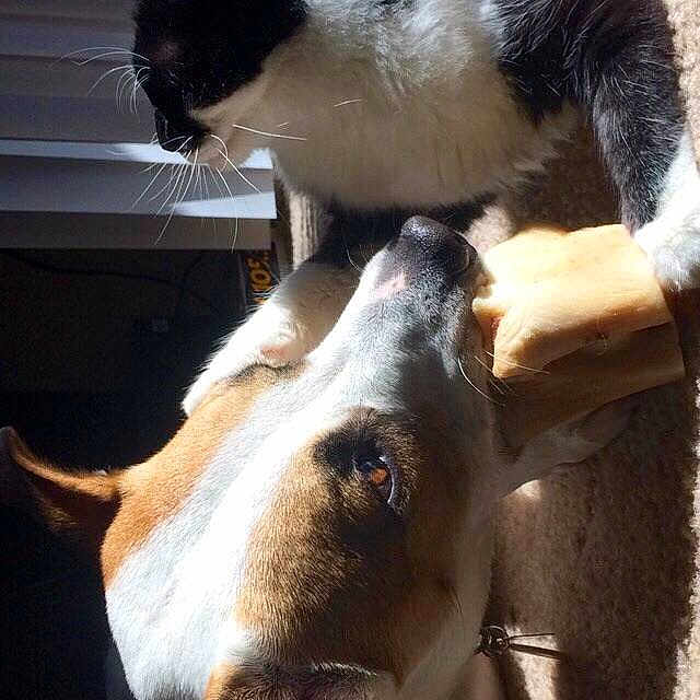 Riley joined the competition — help win amazing prizes!