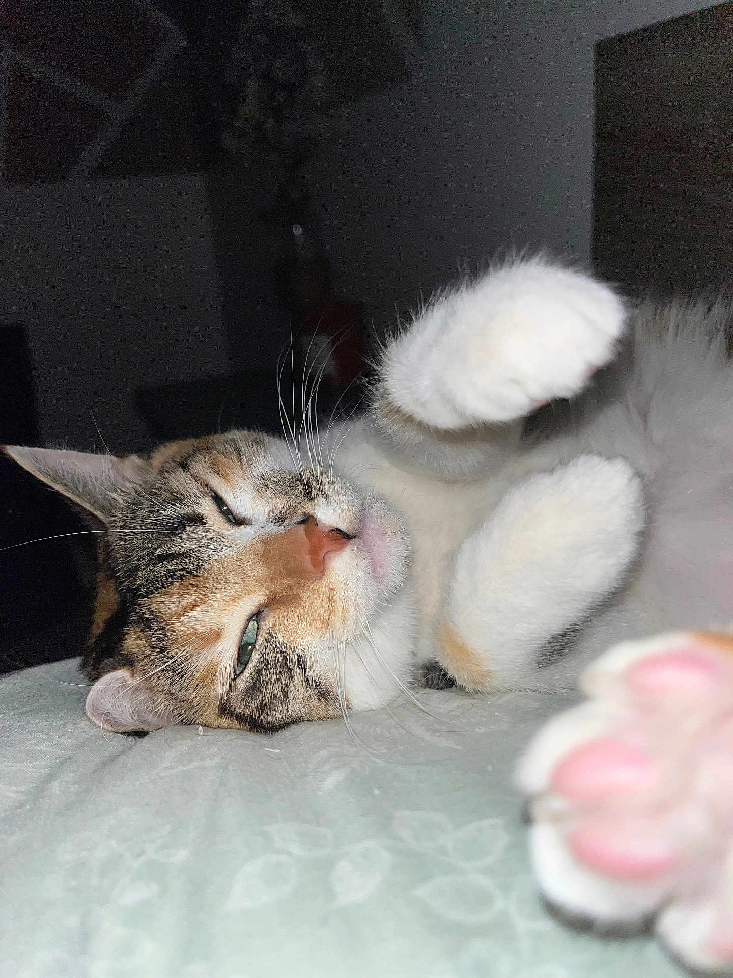Kiara