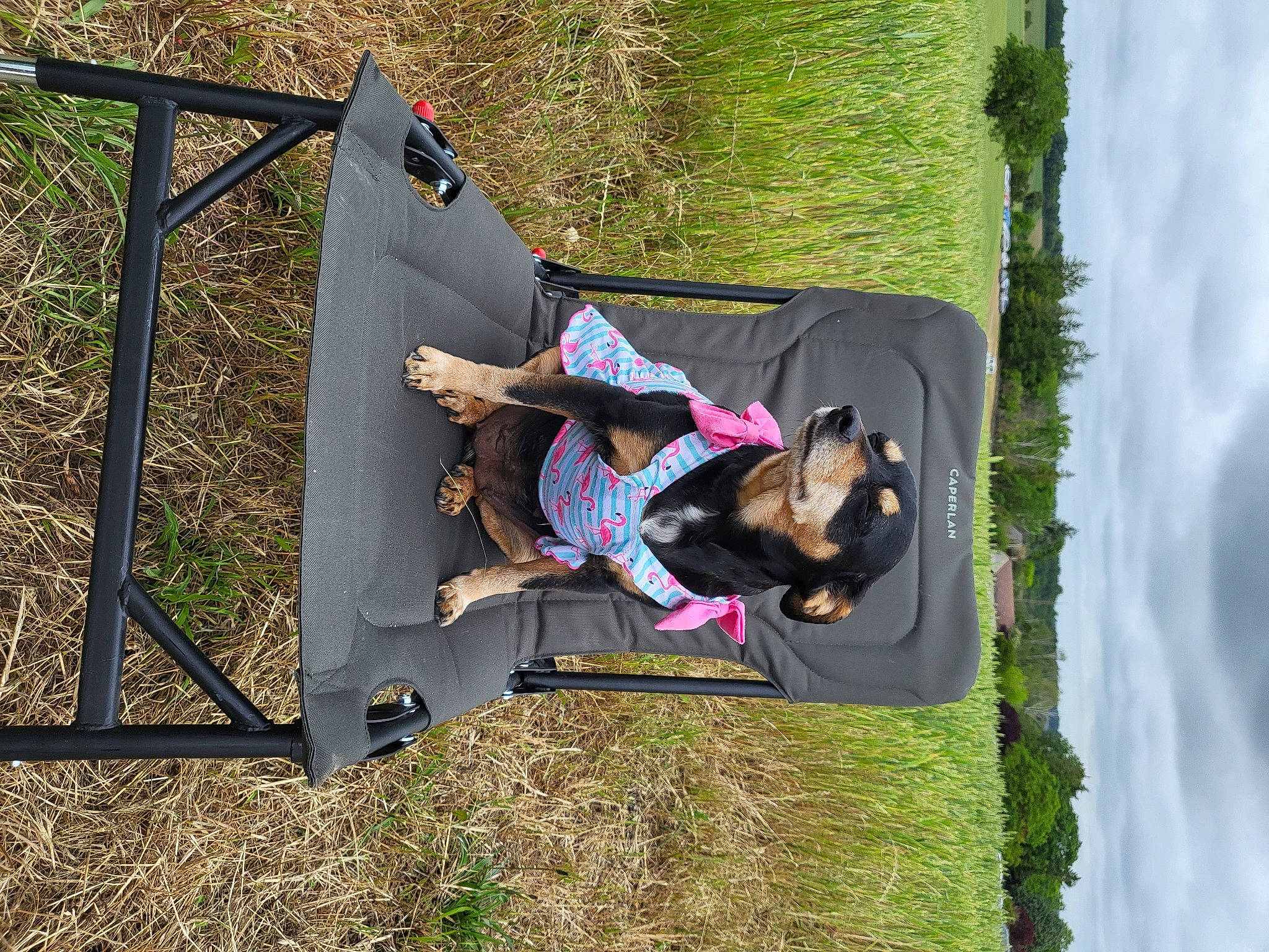 Poupounette participe au concours pour gagner de l'argent avec cette photo : cloud, comfort, fun, grass, leisure, outdoor_furniture, outdoor_play_equipment, people_in_nature, plant, recreation, shade, sky, toddler, tree