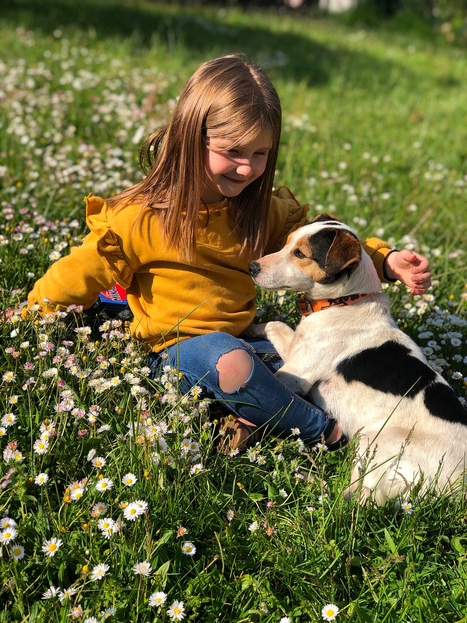Léna a rejoint le concours — aidez-le/la à gagner de superbes lots ! carnivore, child, companion_dog, dog, dog_breed, fawn, flower, flowering_plant, grass, grass_family, grassland, groundcover, happy, joy, meadow, people_in_nature, person, petal, plant, prairie