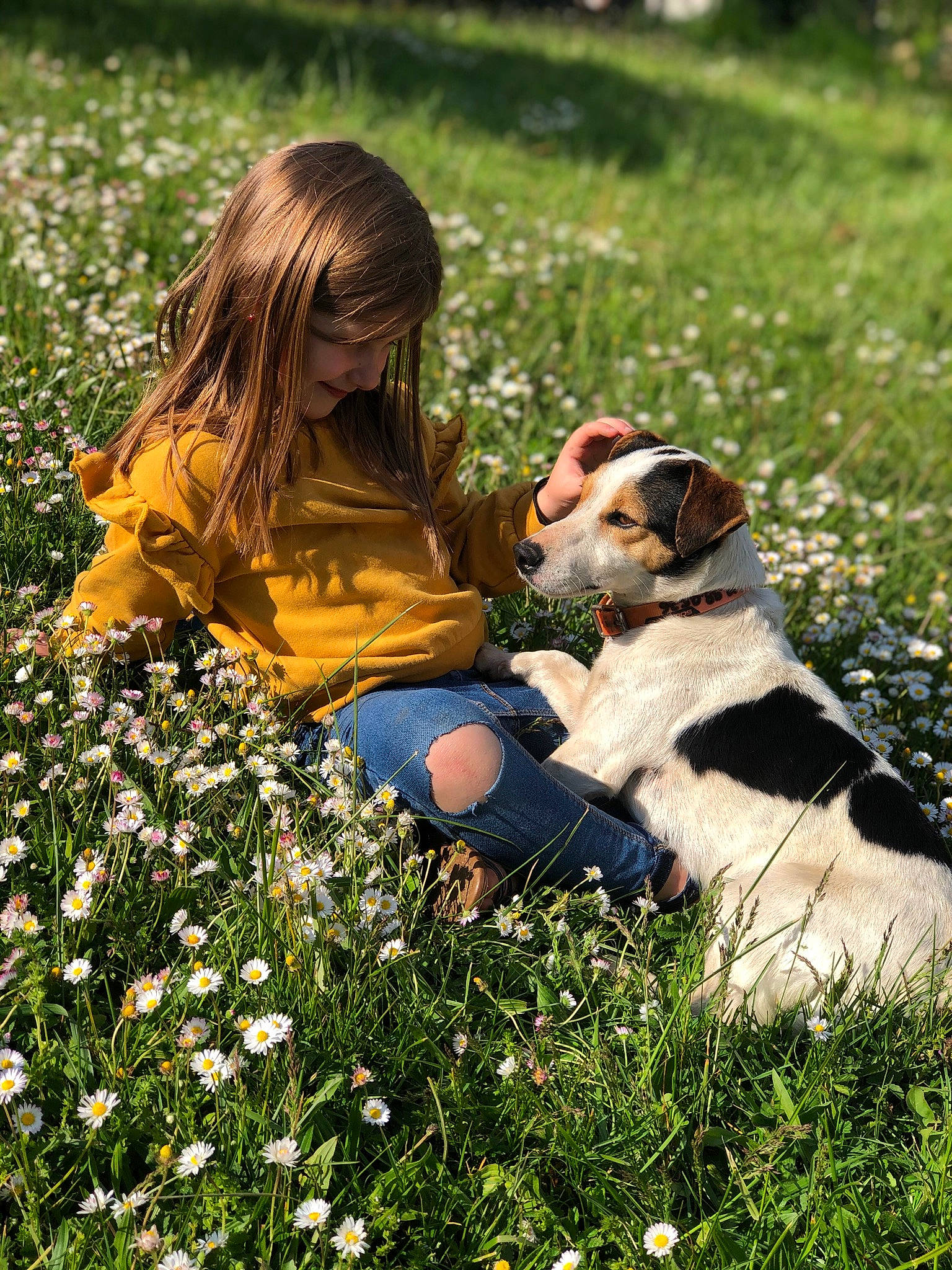 Léna participe au concours pour gagner de l'argent avec cette photo : baby, carnivore, chamaemelum_nobile, child, companion_dog, dog, fawn, field, flower, grass, grass_family, grassland, happy, lawn, meadow, people_in_nature, person, petal, plant, prairie