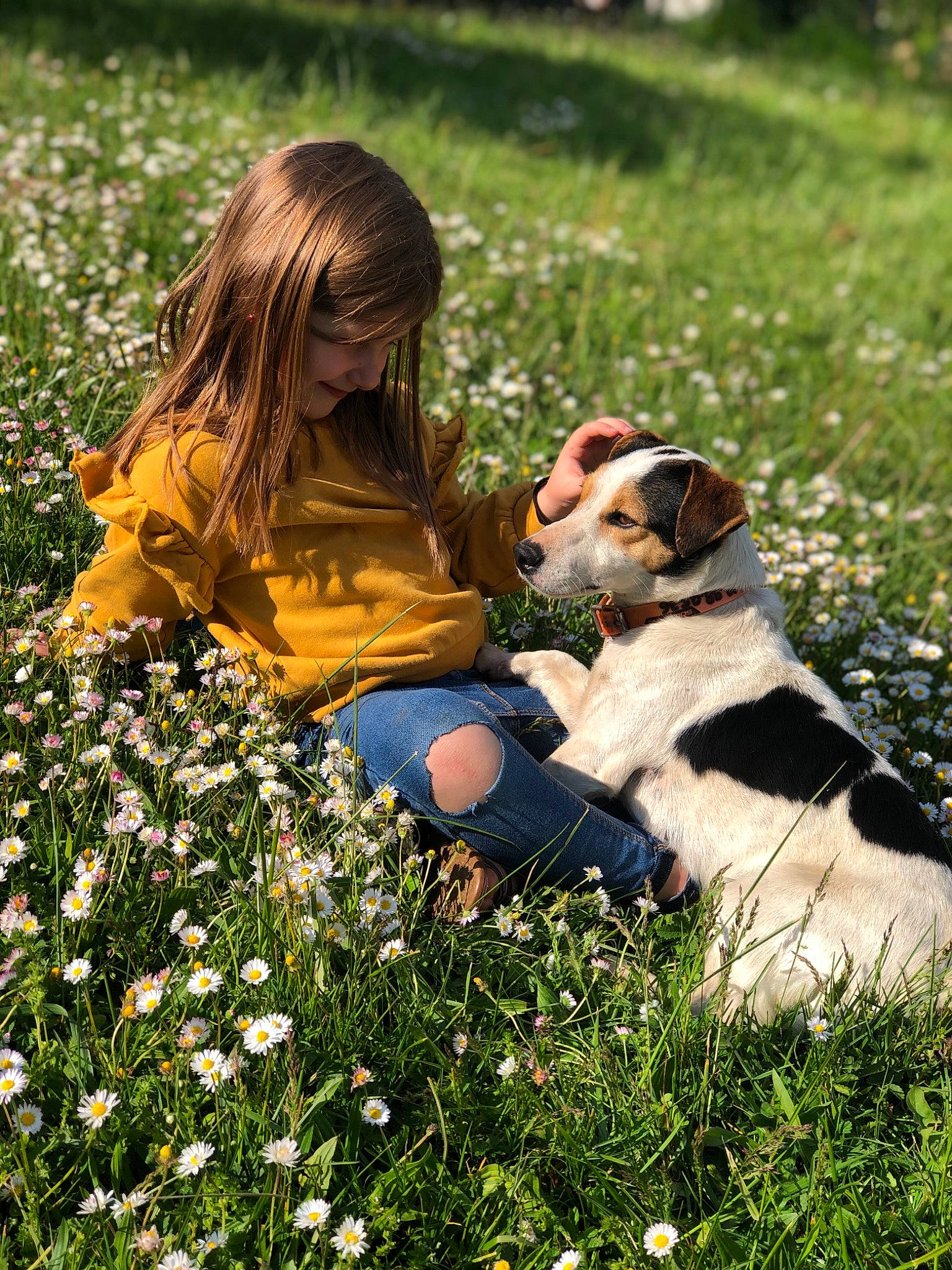 Léna participe au concours pour gagner de l'argent avec cette photo : baby, carnivore, child, companion_dog, dog, fawn, field, flower, grass, grass_family, grassland, groundcover, happy, joy, lawn, meadow, people_in_nature, person, petal, plant