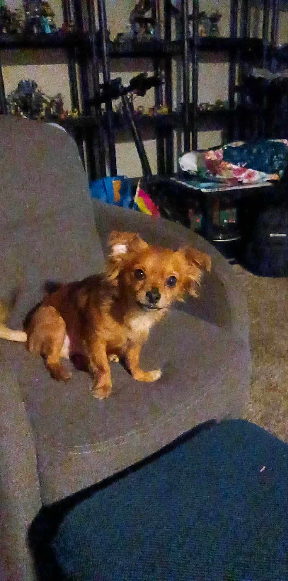Bruce