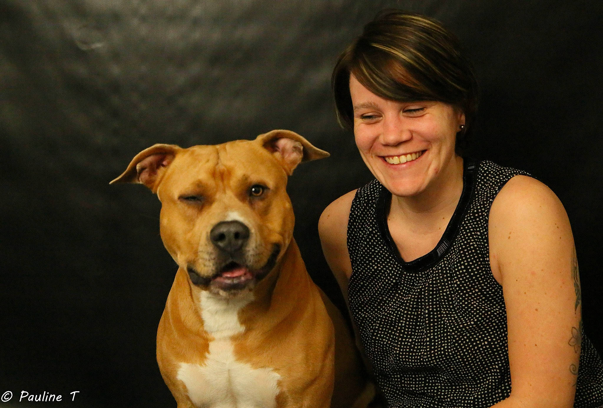 Mango participe au concours pour gagner de l'argent avec cette photo : american_pit_bull_terrier, american_staffordshire_terrier, bulldog, canidae, carnivore, companion_dog, dog, dog_breed, fawn, joy, mammal, non_sporting_group, perro_de_presa_mallorquin, person, pit_bull, puppy_love, rare_breed_dog, smile, staffordshire_bull_terrier, vertebrate