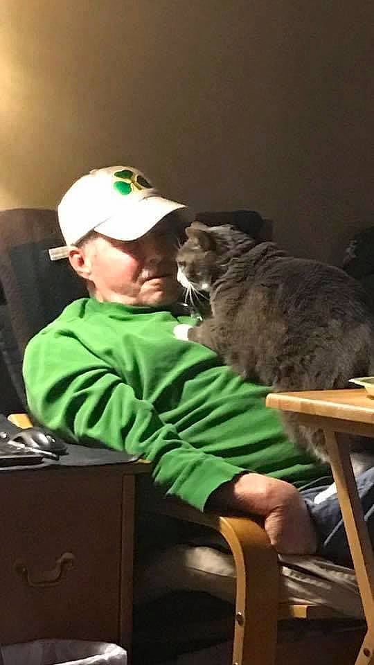 Miss Priss joined the competition — help win amazing prizes! audio_equipment, baseball_cap, cap, carnivore, cat, chair, child, comfort, domestic_short_haired_cat, event, felidae, fur, grass, holiday, mammal, room, sitting, small_to_medium_sized_cats, t_shirt, whiskers