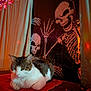 animal, background, cat, cloth, cozy, curtain, decorations, feline, halloween, indoor, lighting, orange_light, pet, purple_light, red_cloth, relaxed, skeleton_poster, spooky, tabby_cat, table