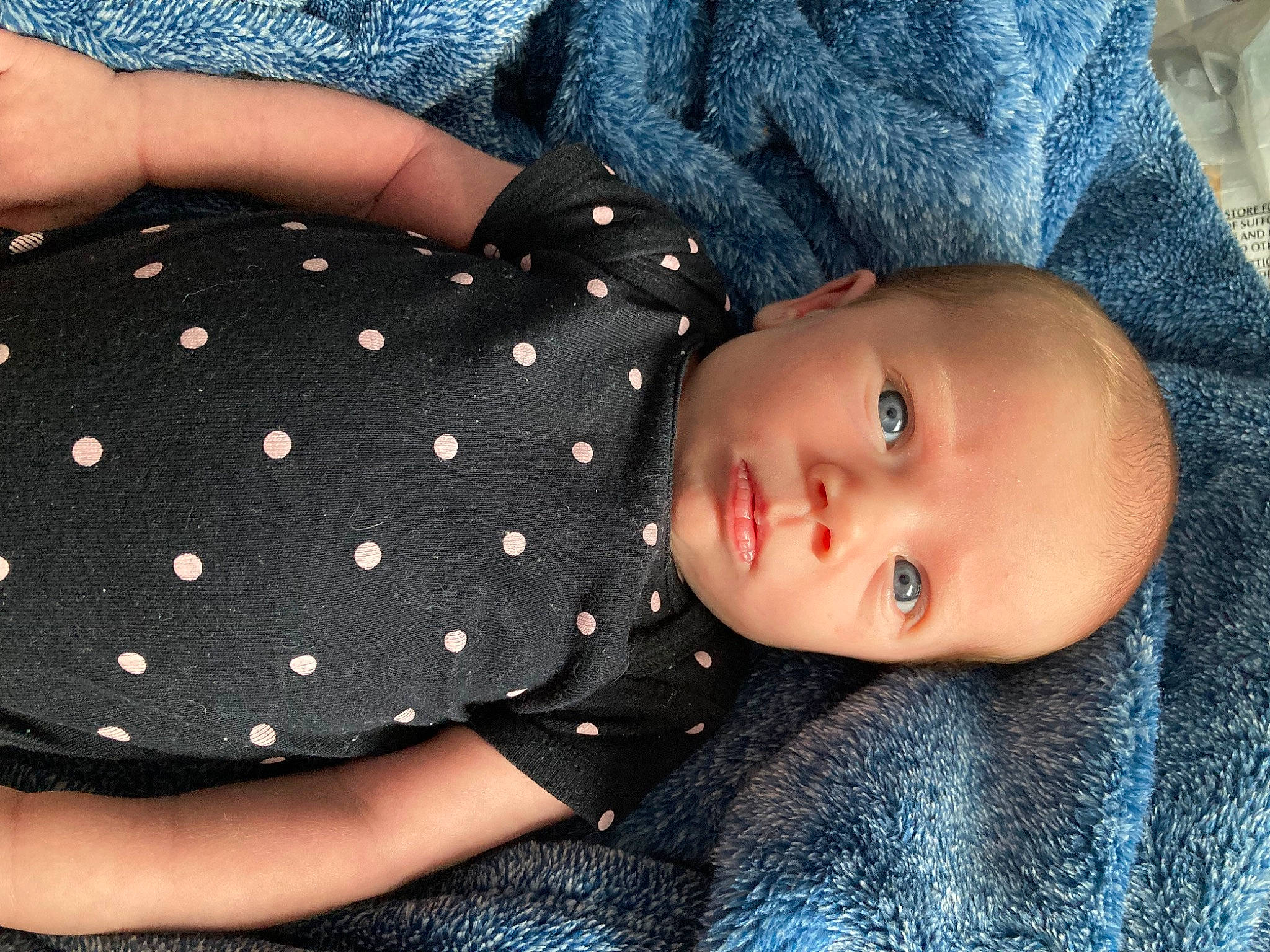 Alexandria joined the competition — help win amazing prizes! baby, baby_toddler_clothing, beauty, blue, cheek, child, collar, comfort, electric_blue, facial_expression, iris, mammal, pattern, person, plaid, skin, sleeve, textile, toddler, wrist