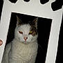 Moumouss participe au concours pour gagner de l'argent avec cette photo :