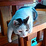 Moumouss participe au concours pour gagner de l'argent avec cette photo :