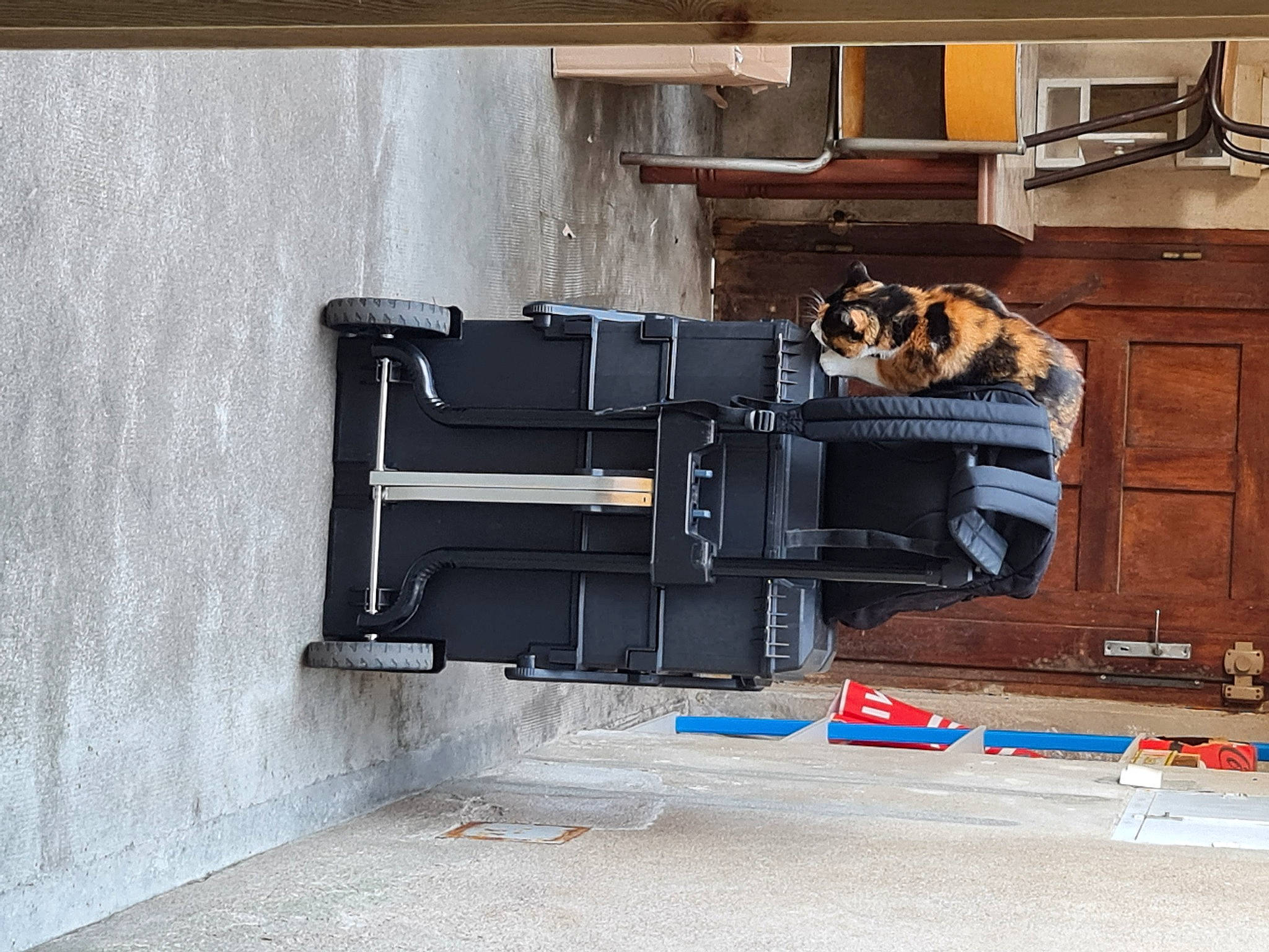 Sakura participe au concours pour gagner de l'argent avec cette photo : automotive_exterior, building, cabinetry, composite_material, concrete, electrical_supply, electrical_wiring, flooring, fur, gas, hardwood, machine, room, shelf, wood