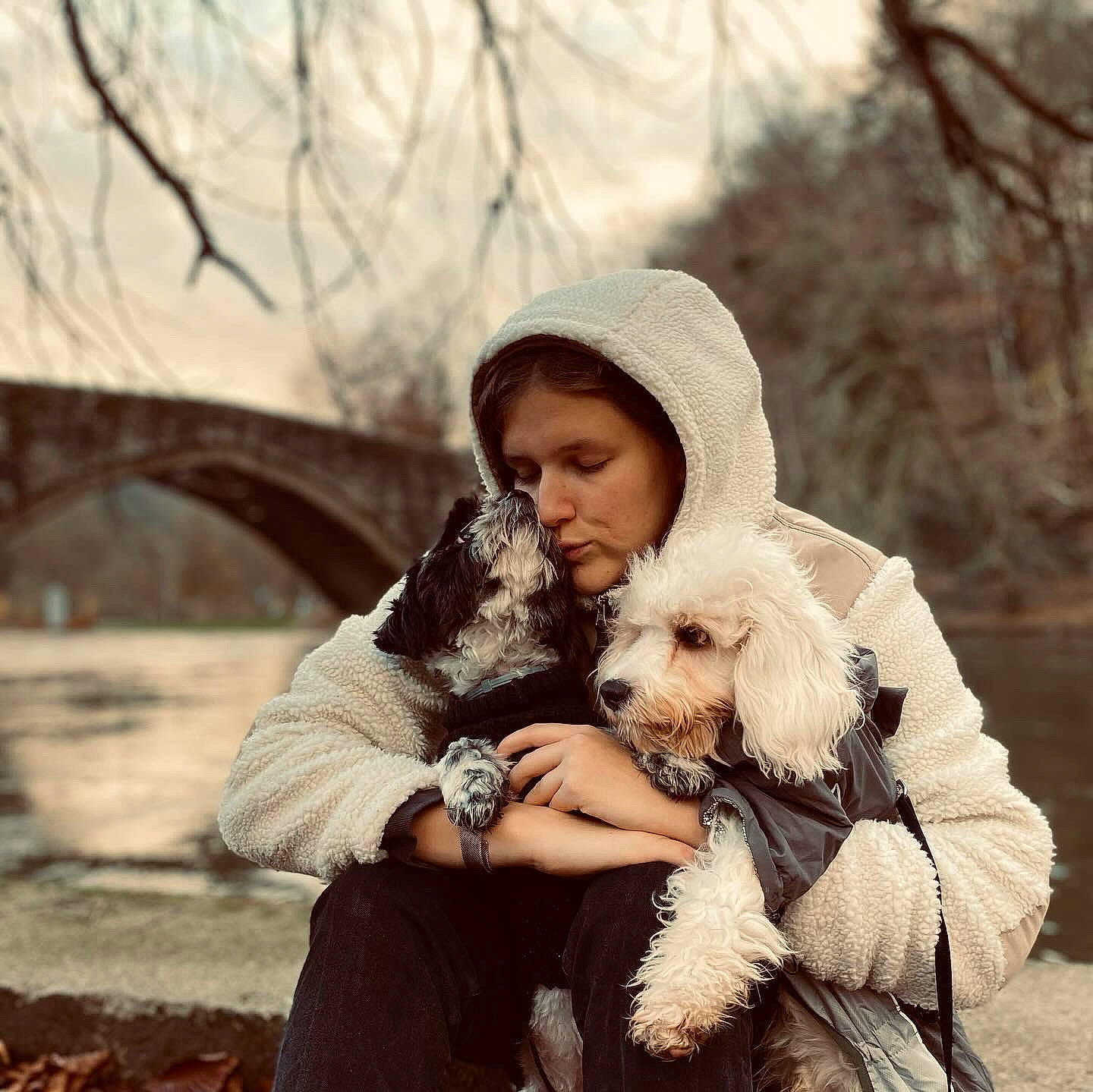 Merlin participe au concours pour gagner de l'argent avec cette photo : cap, carnivore, companion_dog, dog, dog_breed, eyewear, fashion_accessory, flash_photography, fun, fur, happy, love, people_in_nature, photograph, sitting, sporting_group, sunglasses, toy_dog, tree, winter