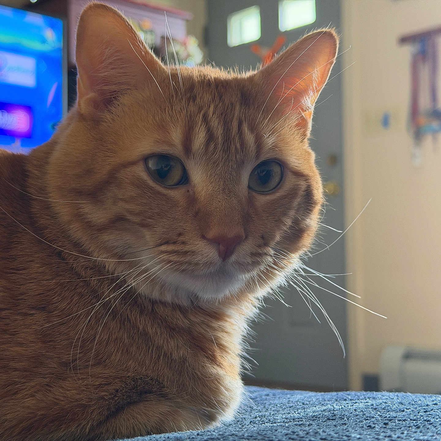 Mac