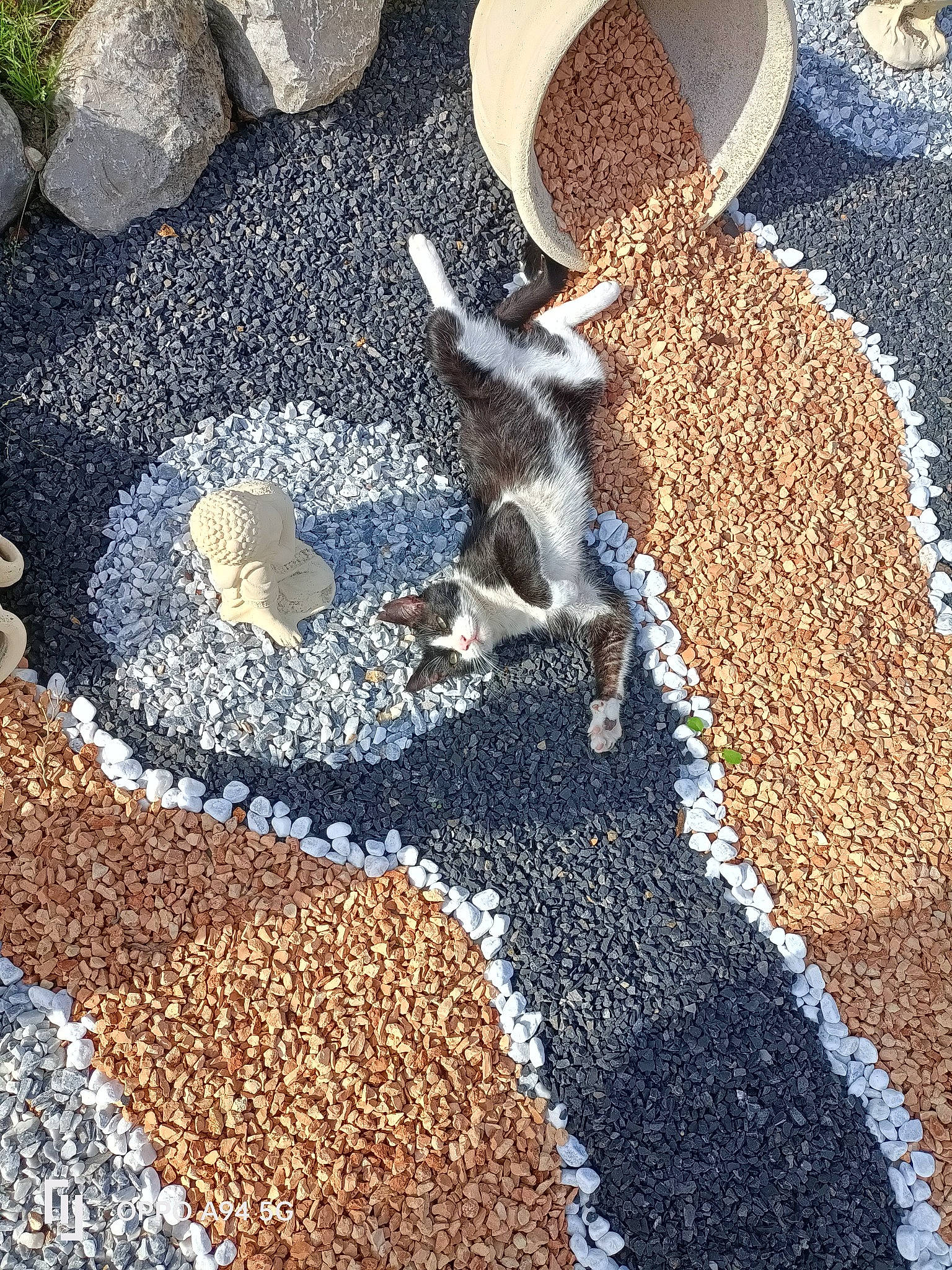 Crapule participe au concours pour gagner de l'argent avec cette photo : asphalt, carpet, cobblestone, flooring, grass, gravel, hat, landscape, mixture, pebble, plant, road_surface, rock, rubble, sand, shadow, soil, sun_hat, tail, wood