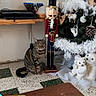 Mini a rejoint le concours — aidez-le/la à gagner de superbes lots ! cat, tabby_cat, nutcracker, christmas_tree, holiday_decorations, feathers, ornaments, plush_bears, indoor, floor_tiles, wooden_table, shelf, dvds, curious, festive, decor, animal, pet, holiday, cozy