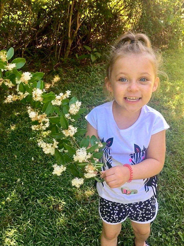 Charity is registered to the contest to win money with this photo: botany, child, flower, garden, grass, green, happy, joy, leaf, people, person, plant, shorts, shrub, smile, spring, summer, t_shirt, toddler, tree