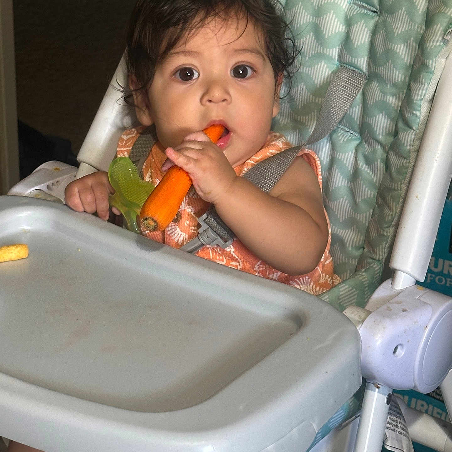 Jesus Ismael joined the competition — help win amazing prizes! baby, child, high_chair, eating, carrot, spoon, smiling, sitting, portrait, indoors, kitchen, mealtime, infant, toddler, bib, seatbelt, tray, food, curious, 家庭