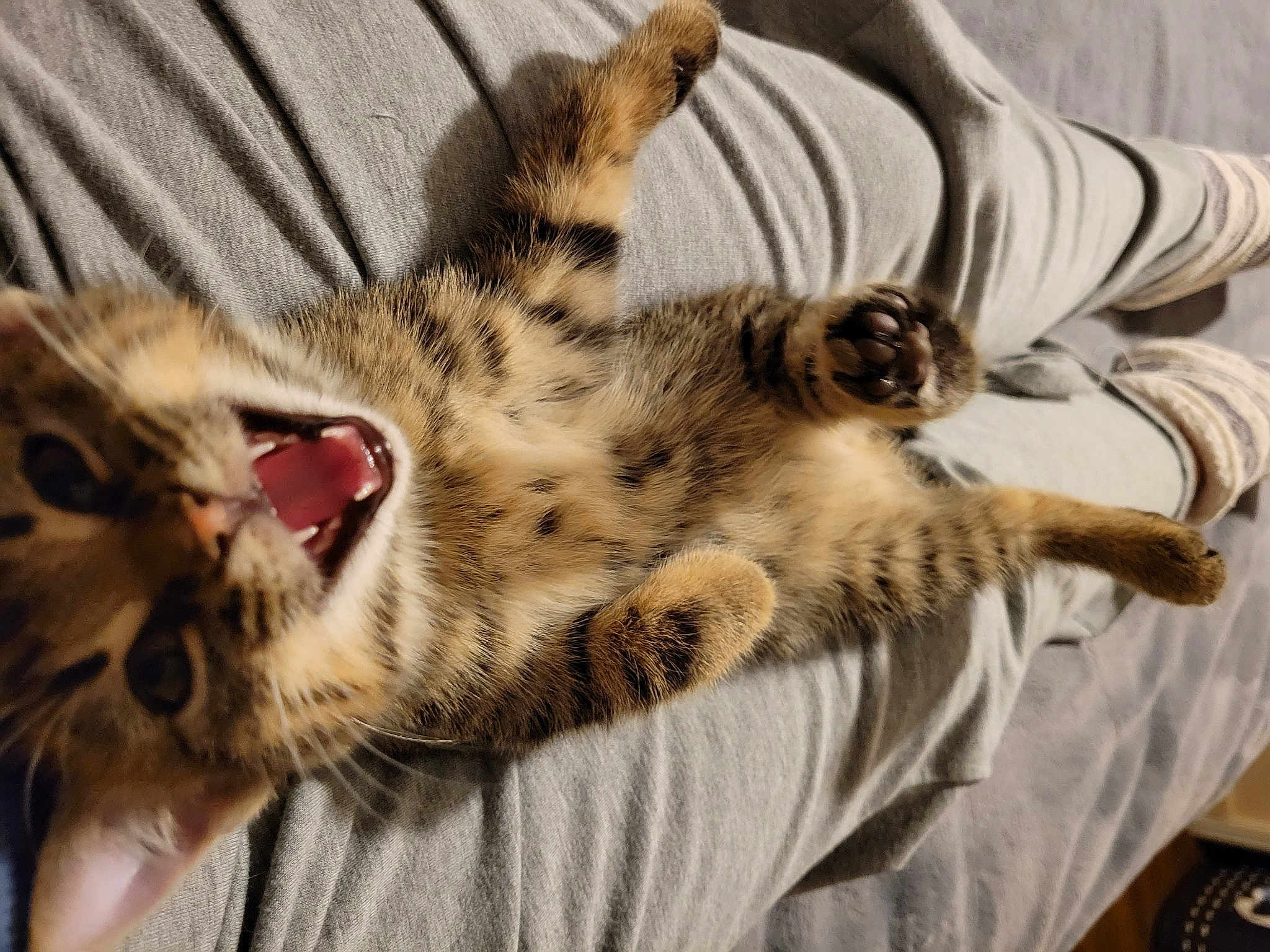 Marv
