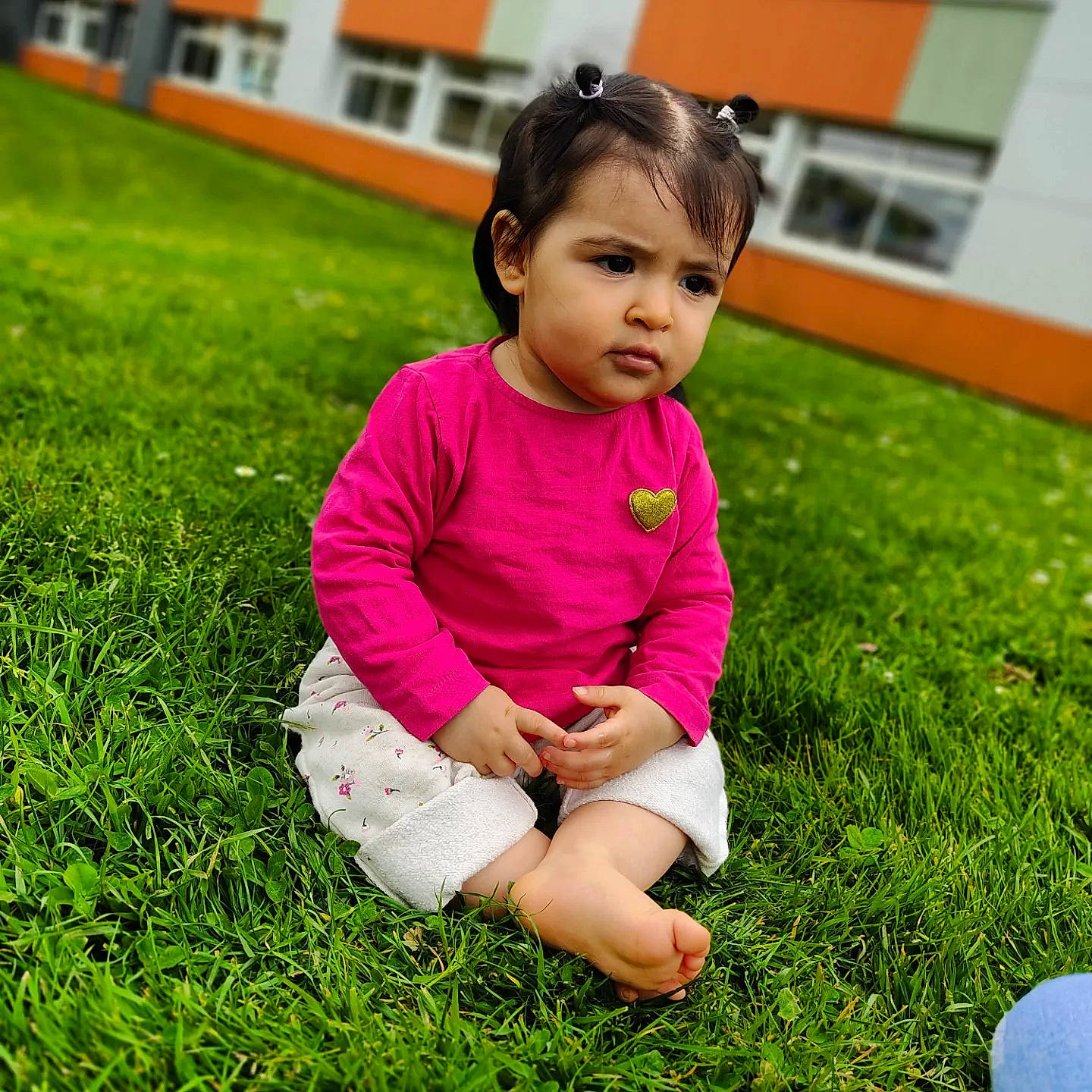 Helena a rejoint le concours — aidez-le/la à gagner de superbes lots ! baby, baby_toddler_clothing, child, flooring, fun, grass, grass_family, grassland, happy, lawn, leisure, magenta, people_in_nature, person, plant, recreation, sitting, sleeve, toddler, vertebrate