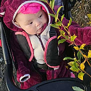 Valerian Jo joined the competition — help win amazing prizes! baby, child, stroller, outdoor, leaf, plant, purple_clothing, hood, curious, bundle, seatbelt, grass, autumn, nature, infant, cute, person, jacket, face, exploring