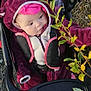 baby, child, stroller, outdoor, leaf, plant, purple_clothing, hood, curious, bundle, seatbelt, grass, autumn, nature, infant, cute, person, jacket, face, exploring