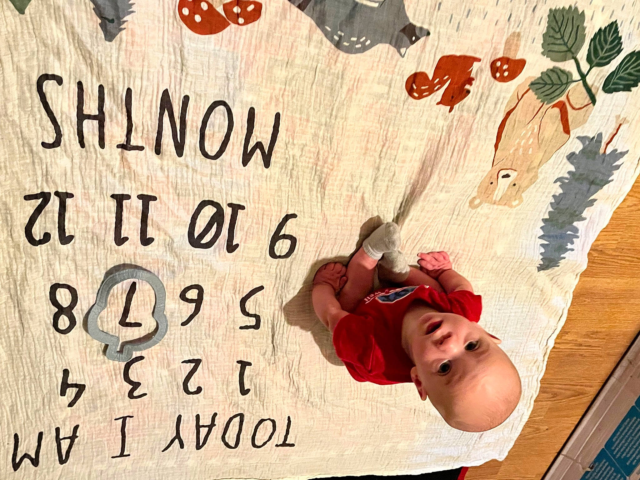 Fred joined the competition — help win amazing prizes! art, baby, baby_toddler_clothing, carmine, child, event, flooring, font, greeting, greeting_card, happy, illustration, linens, pattern, person, photo_caption, poster, rectangle, surprise, toddler